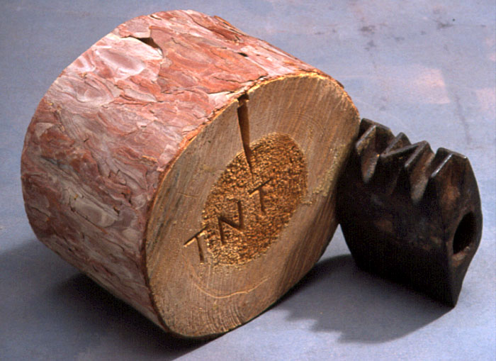 Color photo of a log stamp and log end with the TNT mark